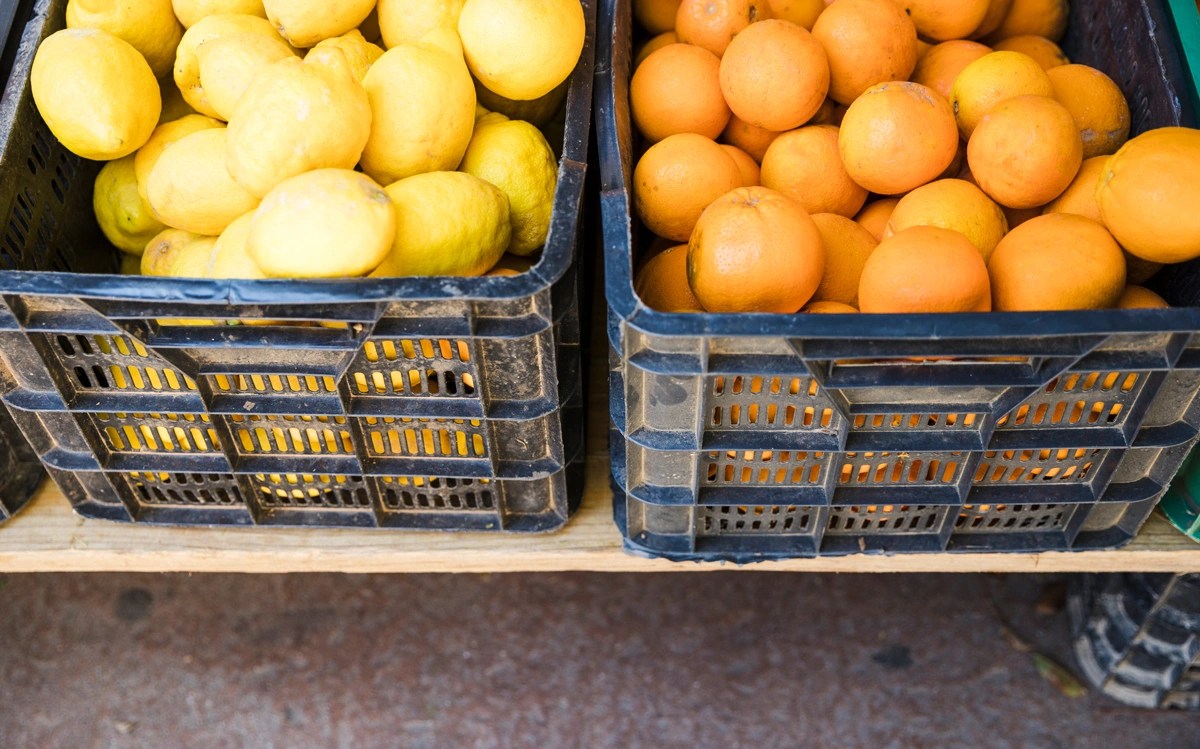 خرید سبد صنعتی میوه